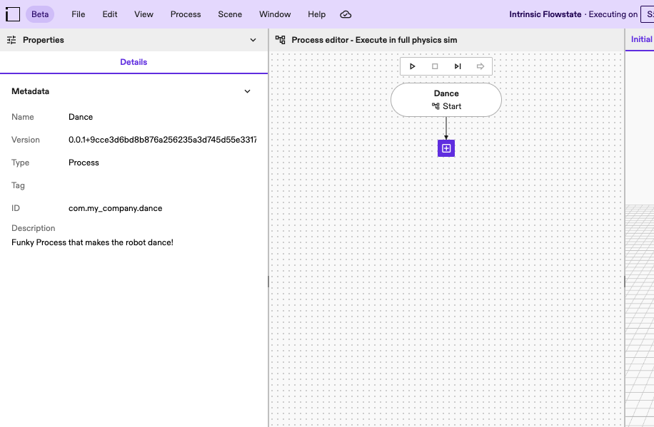 Details of the Process asset