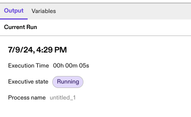 Execution time during process run